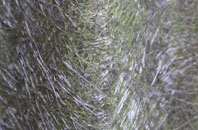 Gelli Gaer fibreglass roof work